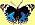 Blue Butterfly