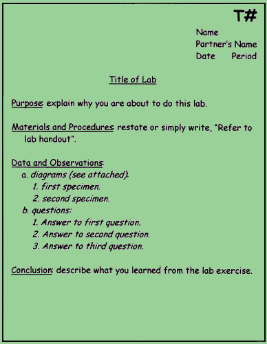 Lab Format Example