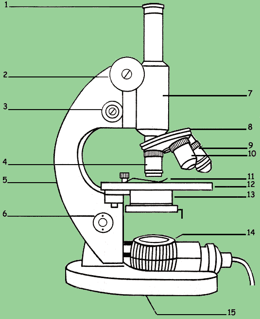 partes del microscopio. Partes del Microscopio