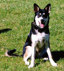 Babagail at 8 1/2 months